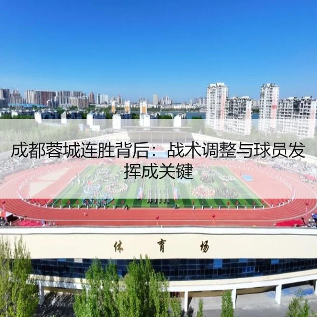成都蓉城连胜背后:战术调整与球员发挥成关键